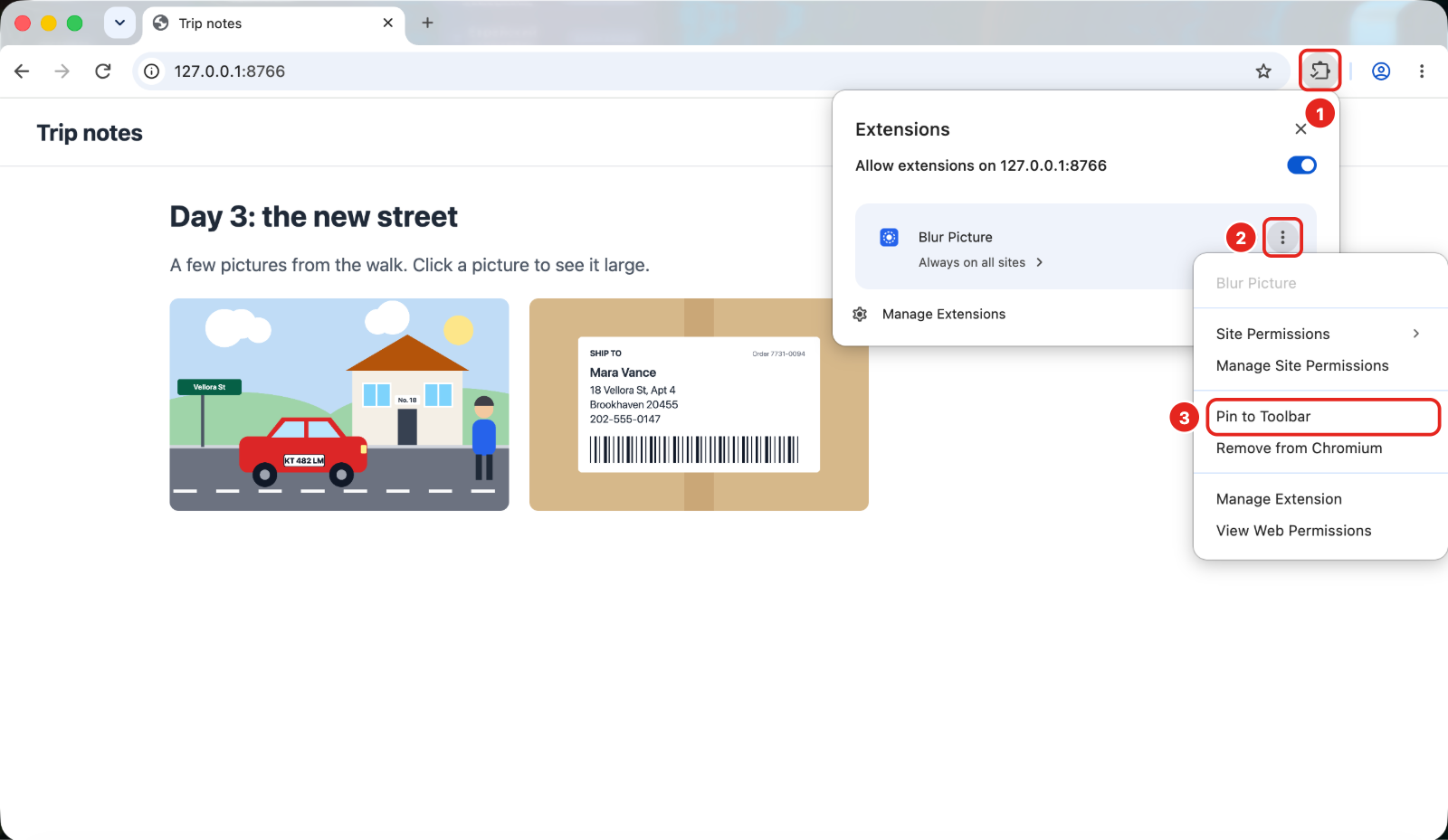 Chrome Extensions menu with the three dots next to Blur Picture and “Pin to Toolbar”